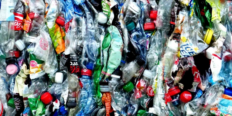 Plastic bottles Recycling Coca-cola Ice tea