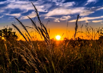 summer sunrise sunset agriculture