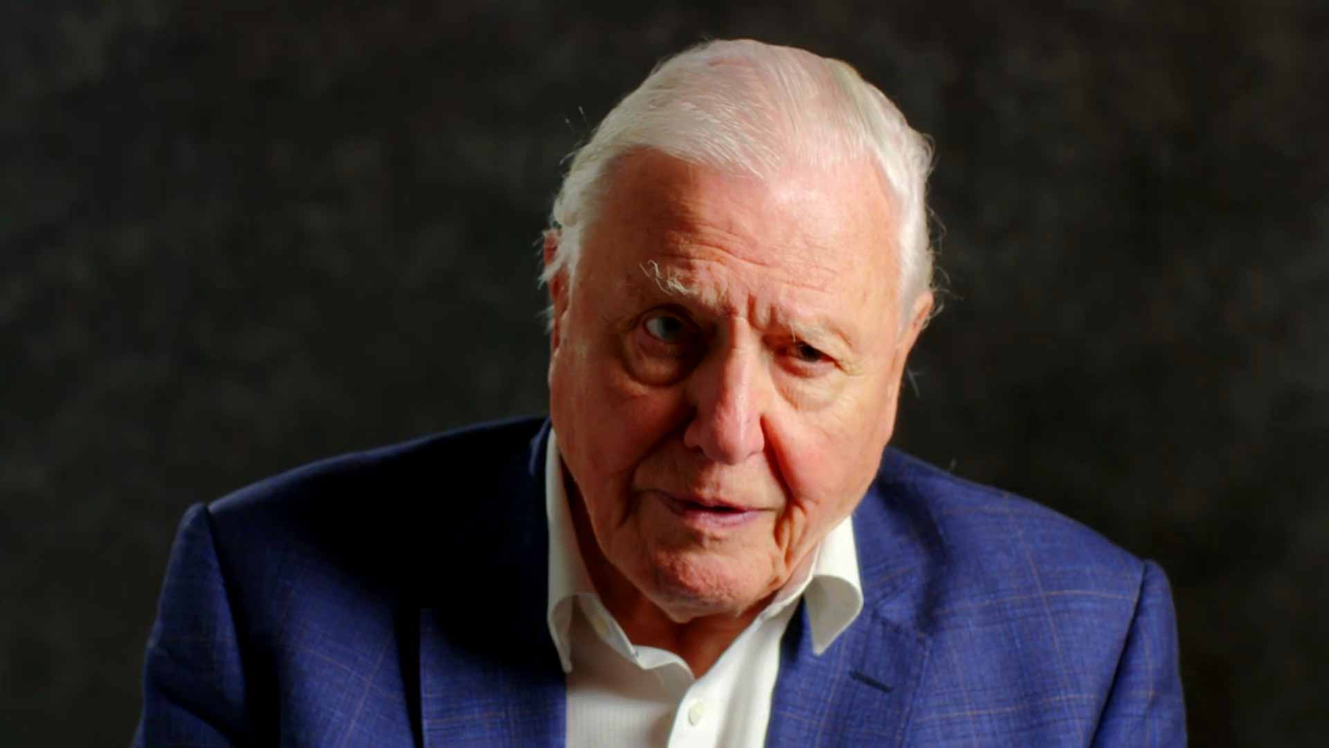 Sir David Attenborough message to World Leaders to save our planet