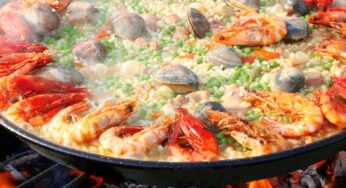 Farm to Fork and Biodiversity Strategy meet EU Green Deal goals