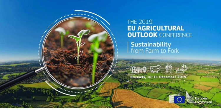 EU Agricultural Outlook Report for 2019-2030
