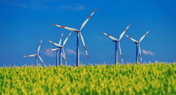 UNEP: Sustainable development and fight against COVID-19 go together