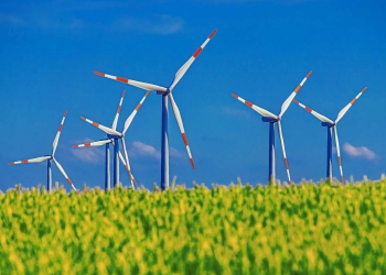 Pinwheel Field Cereals Sky Wind Energy Wind Power