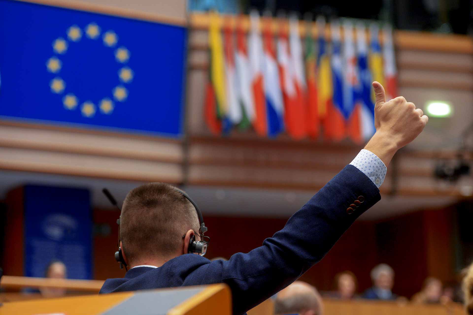 European Parliament Plenary MEPs VOTE