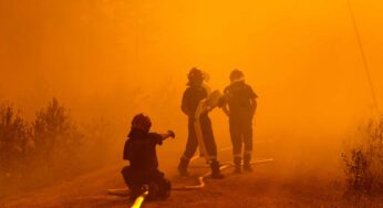 Amazon forest fires are raging in Brazil again