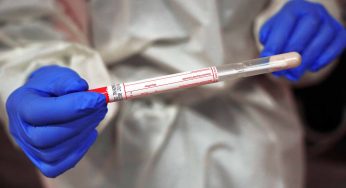 Fake negative Covid-19 test certificates sold across Europe