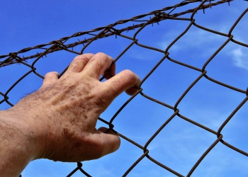 barbed wire fence Human Rights