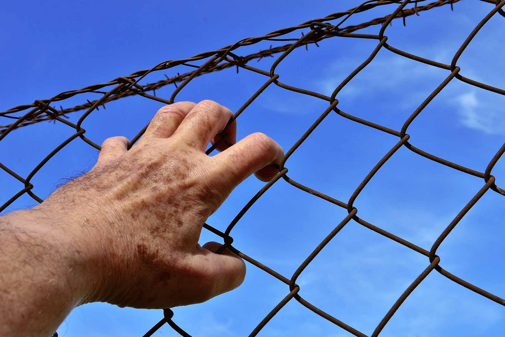barbed wire fence Human Rights