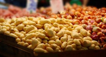 EU bans dangerous pesticide Mancozeb for healthier onions and potatoes