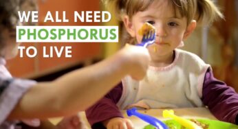 Global phosphorus challenge will deliver food security and reduce pollution