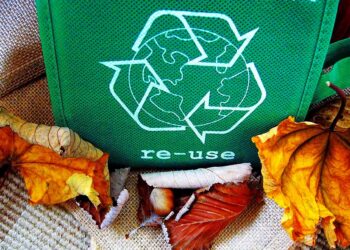 Recycle circular economy Re-Use