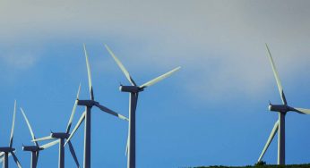UN urges ‘clear and credible’ plans to achieve net zero