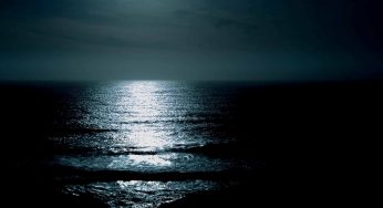 Greening the Coast and Blueing the Black Sea for a Resilient Georgia