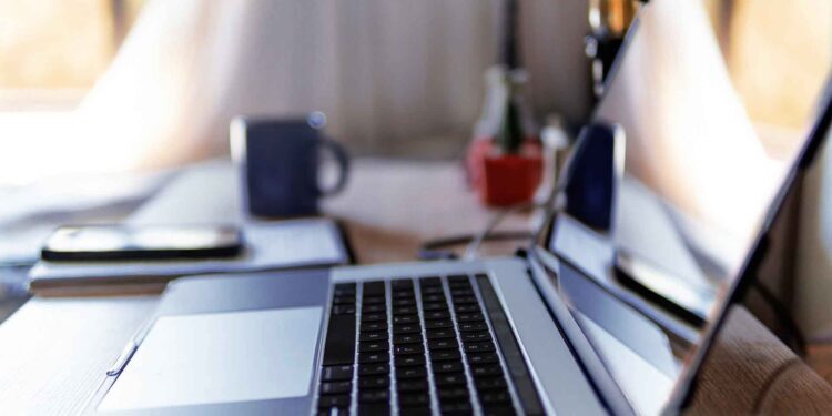 online-meeting home-teleworking laptop