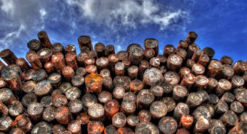 EU and Honduras sign agreement to reduce illegal timber logging