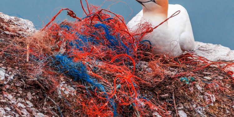 safety net plastic pollution