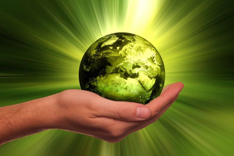 sustainability Green Climate policy