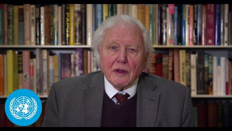 Sir David Attenborough on Climate and Security